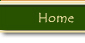 Link to the Home page